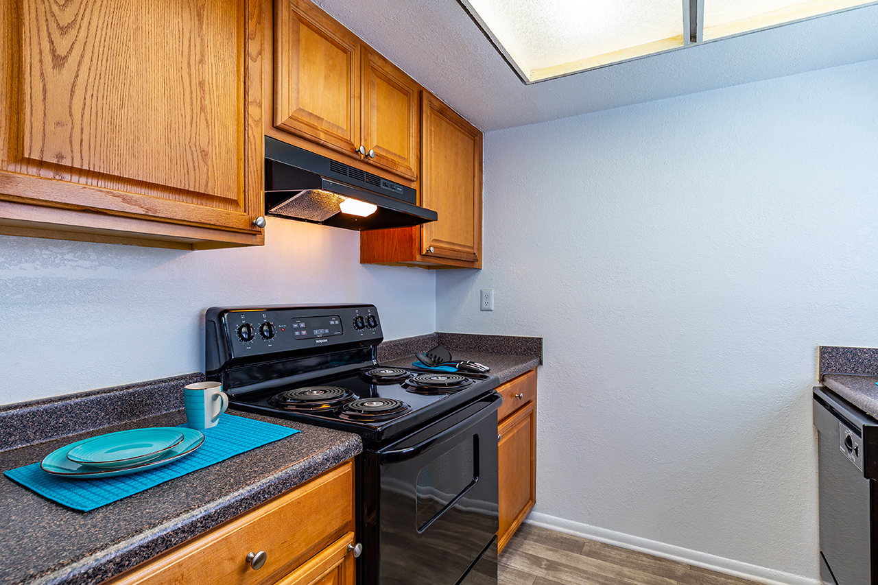 Gallery Palms at Sand Lake