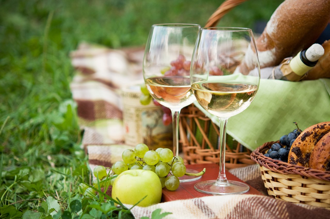 Two glasses of the white wine, picnic theme